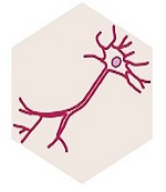 disorder image